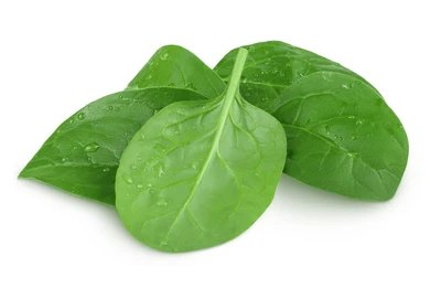 BABY SPINACH