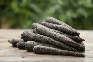 BLACK CARROT
