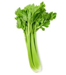 Celery