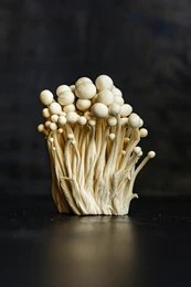 ENOKI MUSHROOM