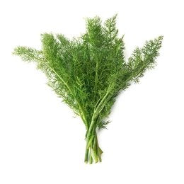 FENNEL LEAVES