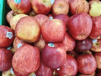 Apple Imported / Per Kg