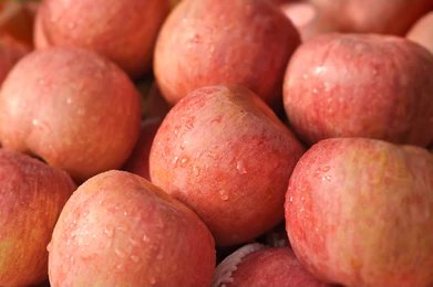 Apple Indian / Per Kg