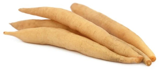 INDIAN ASPARAGUS