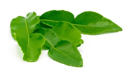 KAFFIR LIME LEAVES