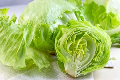 Lettuce Iceburg