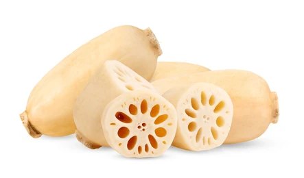 LOTUS ROOT