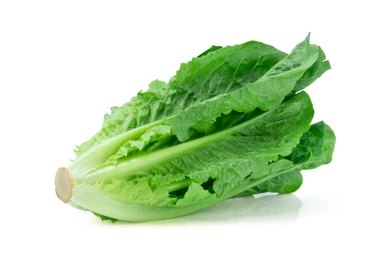 Lettuce Romaine Green / Per Kg