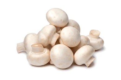 Mushroom Button (PER PC)