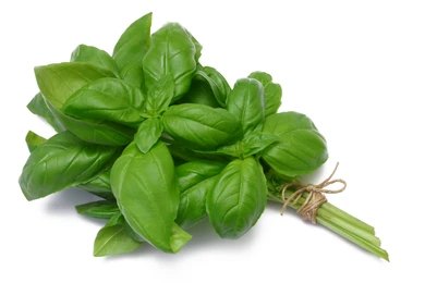 Basil (Per 100 gms)